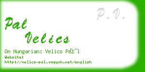 pal velics business card